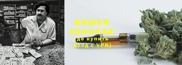 бошки Болотное