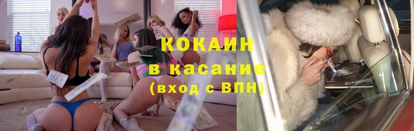 бошки Болотное