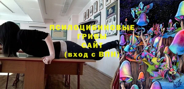 бошки Болотное
