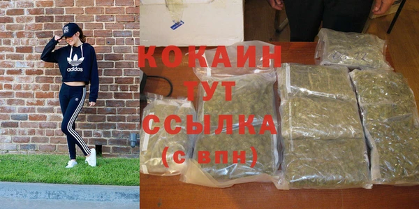 бошки Болотное