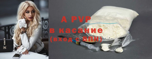 ПСИЛОЦИБИНОВЫЕ ГРИБЫ Болохово